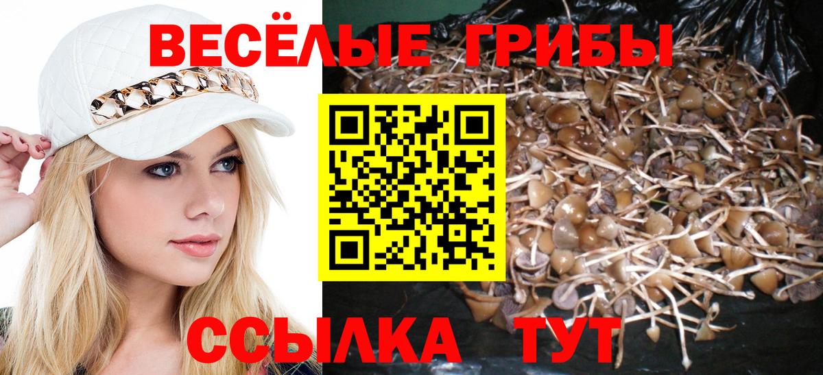 Чехов  купить наркоту  Вход с VPN  Псилоцибиновые грибы ЛСД 