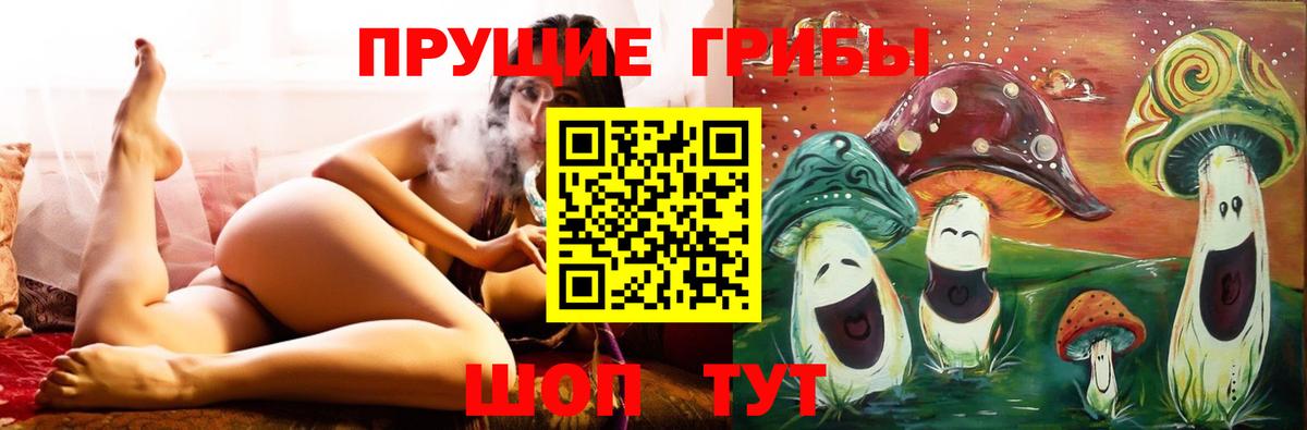 Псилоцибиновые грибы прущие грибы Чехов